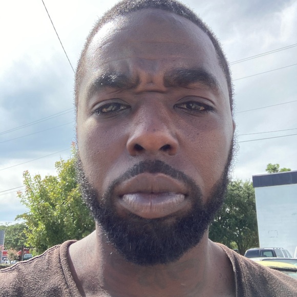 Meet your Posher, Ace - Picture 1 of 1